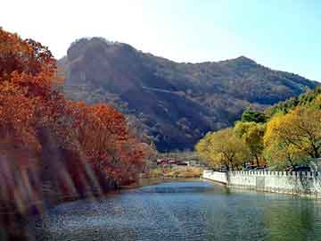 澳门二四六天天彩图库，宠物小精灵生命之旅